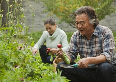 Senior Couple in Garden